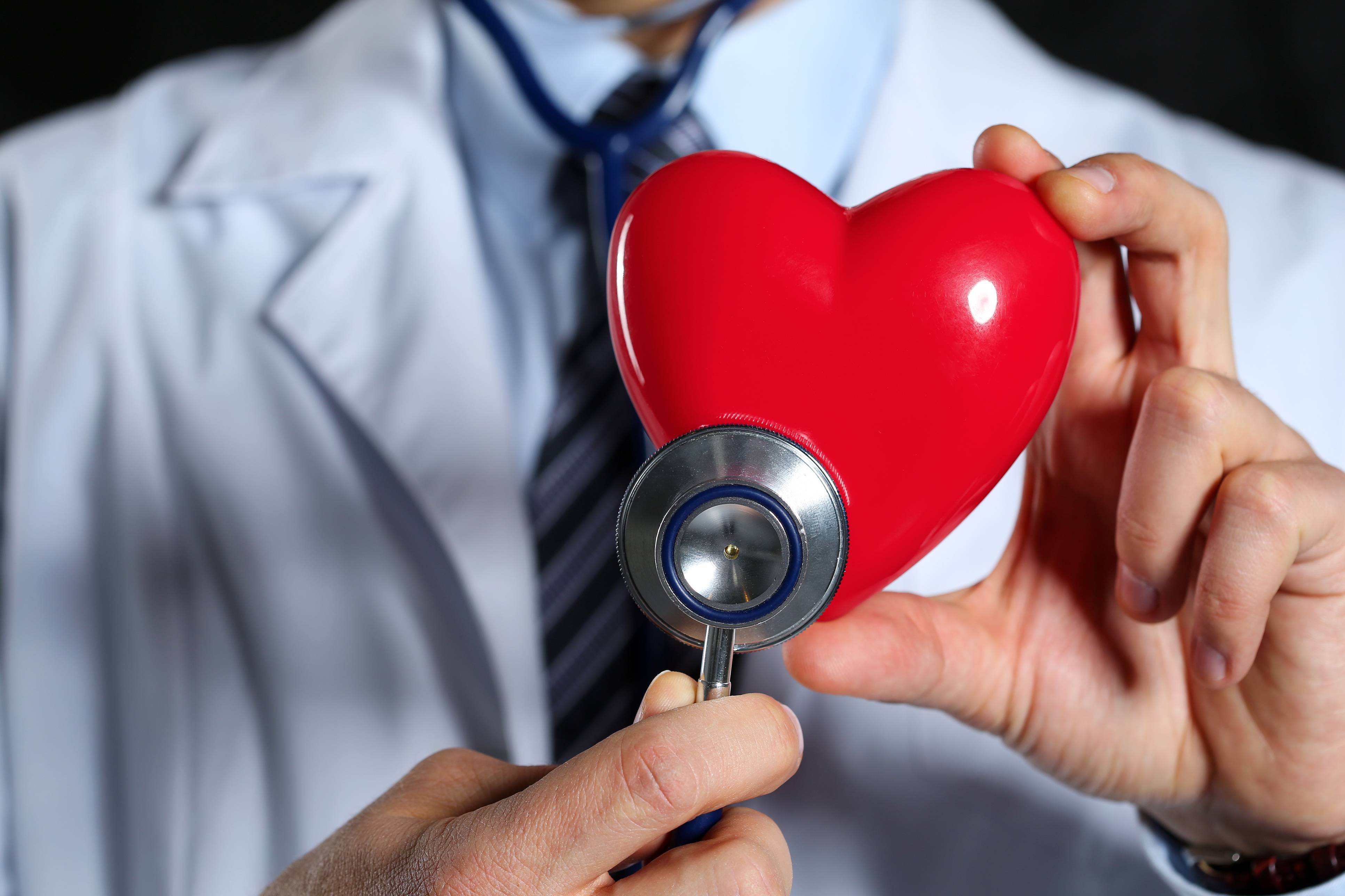 Сердце человека и доктор. Сердечно-сосудистые заболевания. Здоровое сердце. Сердечноссудистые заболевания.