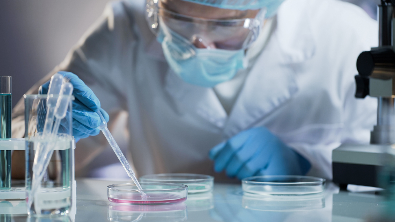 Coronavirus: approfondimento