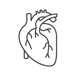 Centro Cardiologico