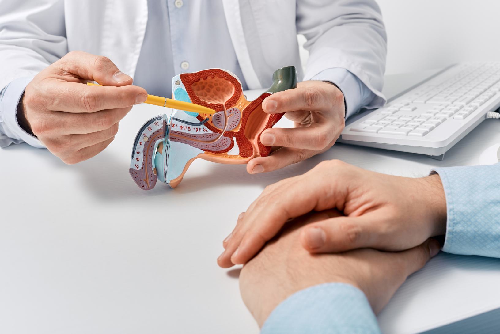 urologia